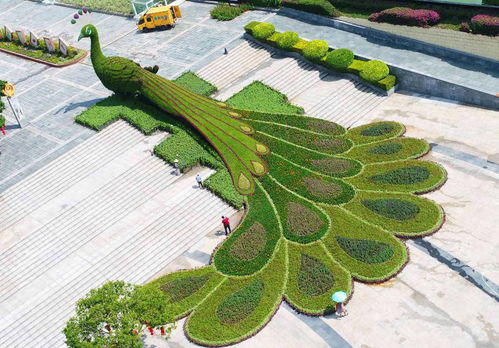 冕宁城市植物雕塑 绿雕行情